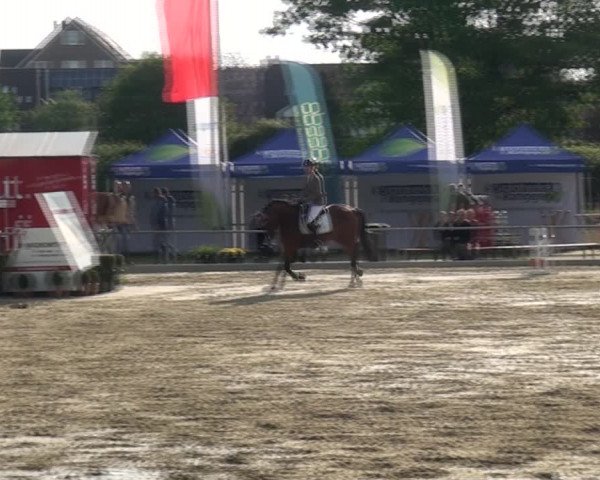 Reitturnier Ratingen-Lintorf 2018
