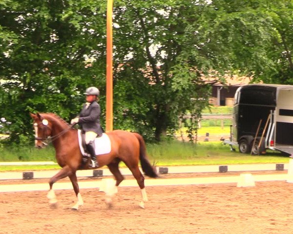 Dallgower Dressurtage 2018