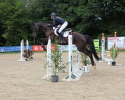 broodmare Simply Roma (Hanoverian, 2011, from St. Moritz Junior)