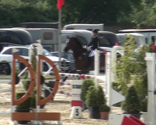 Reitturnier Ratingen-Lintorf 2018
