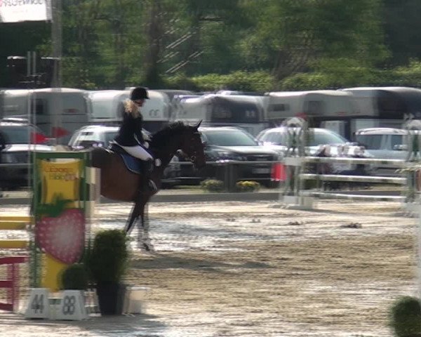 Reitturnier Ratingen-Lintorf 2018