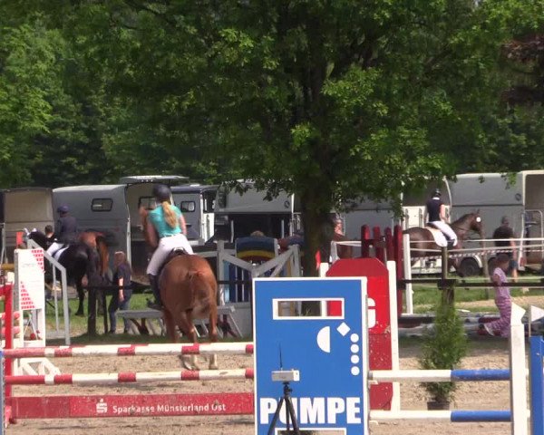 Reitturnier Ahlen 2018
