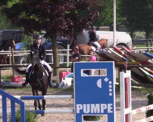 Reitturnier Ahlen 2018