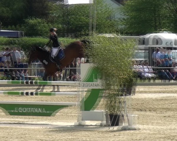 Reitturnier Ratingen-Lintorf 2018