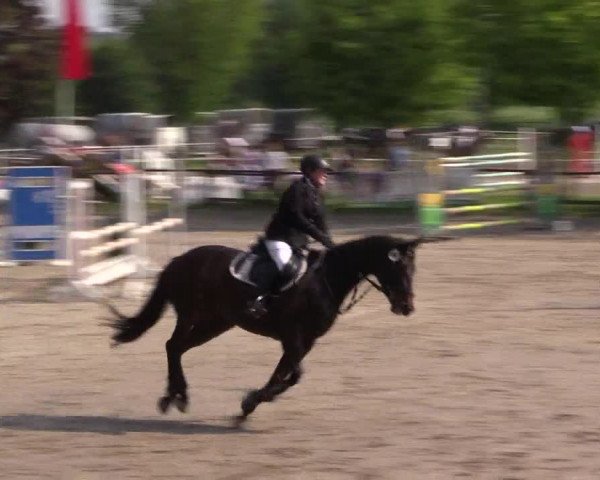 Reitturnier Ahlen 2018