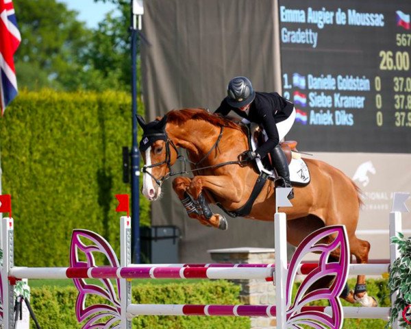 jumper Gradetty (KWPN (Royal Dutch Sporthorse), 2011, from Crespo VDL)