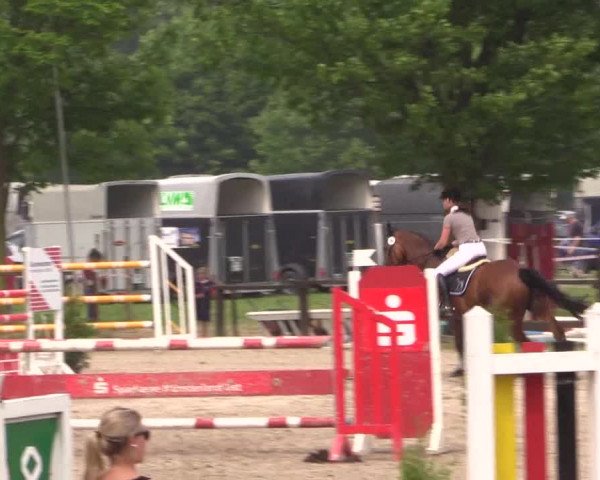 Reitturnier Ahlen 2018
