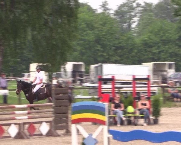 Reitturnier Ahlen 2018