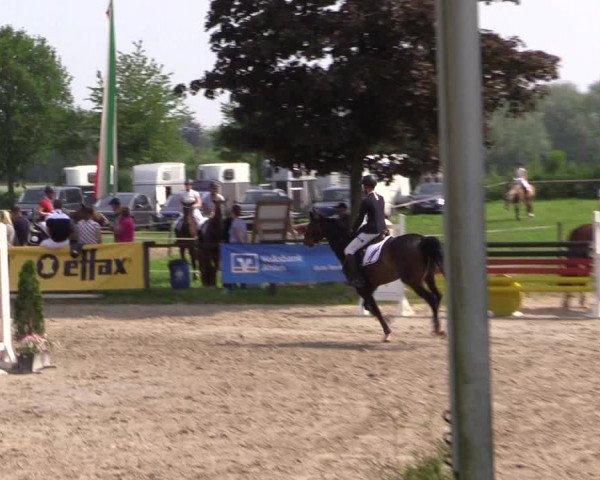 Reitturnier Ahlen 2018