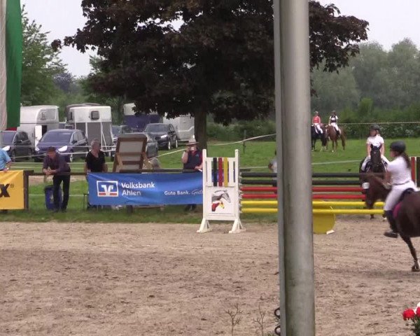 Reitturnier Ahlen 2018