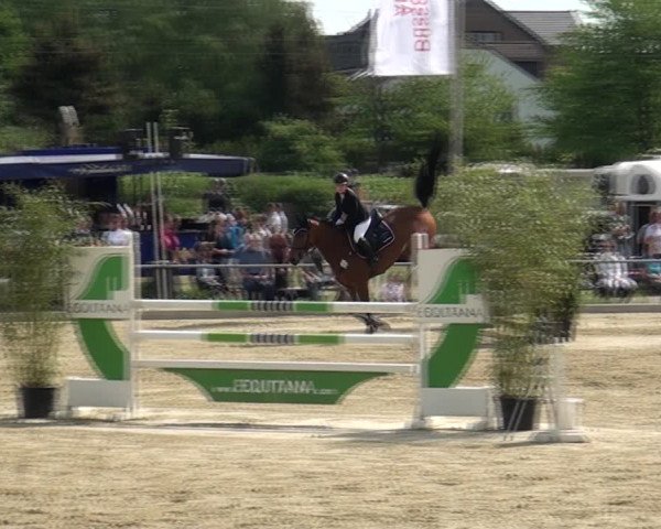 Reitturnier Ratingen-Lintorf 2018