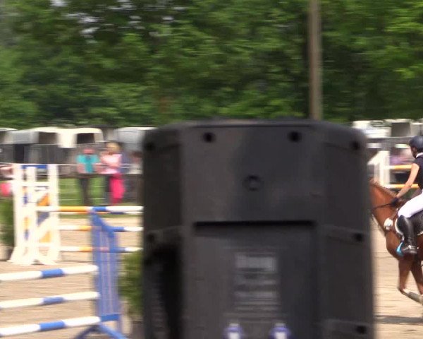 Reitturnier Ahlen 2018