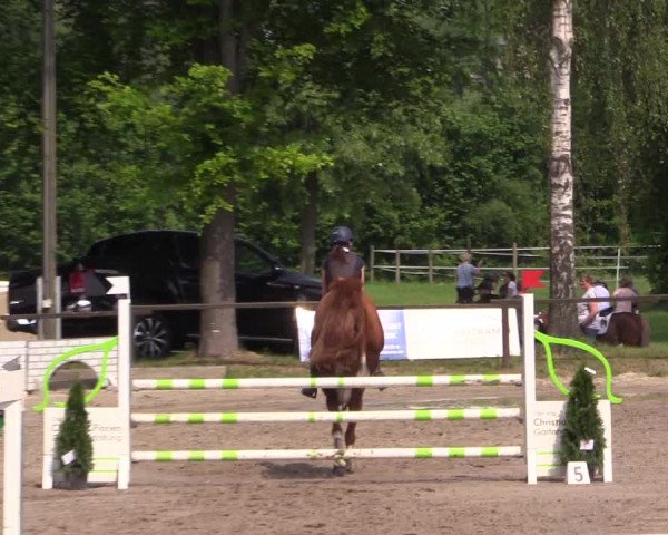 Reitturnier Ahlen 2018