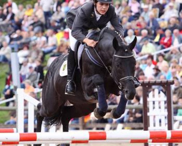 stallion Tipsy's Pet xx (Thoroughbred, 2003, from Zinaad xx)