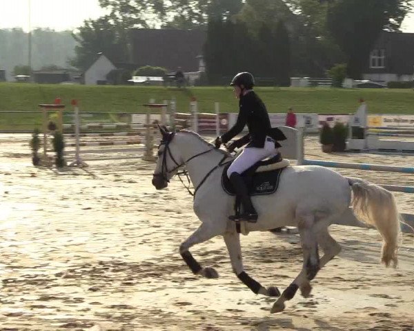 Reitturnier Hamm-Rhynern 2018