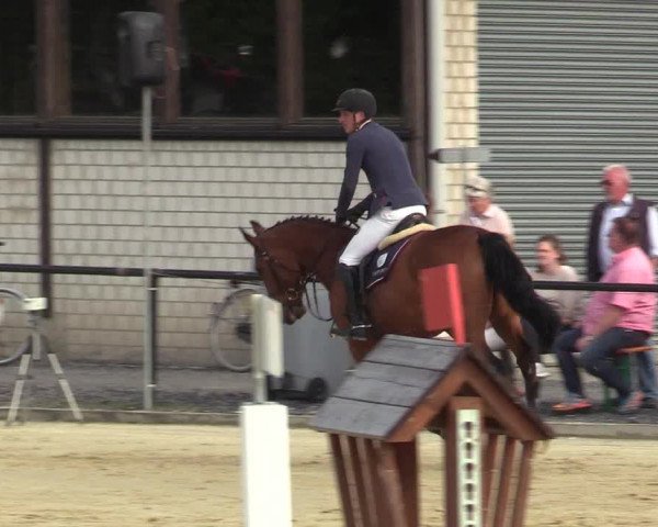 Reitturnier Hamm-Rhynern 2018