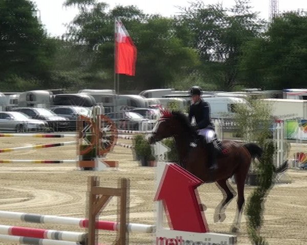 Reitturnier Ratingen-Lintorf 2018