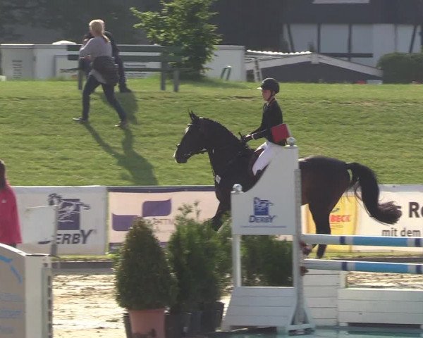 Reitturnier Hamm-Rhynern 2018