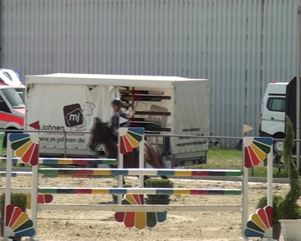 Reitturnier Ratingen-Lintorf 2018