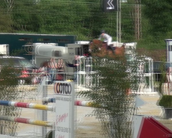 Reitturnier Ratingen-Lintorf 2018