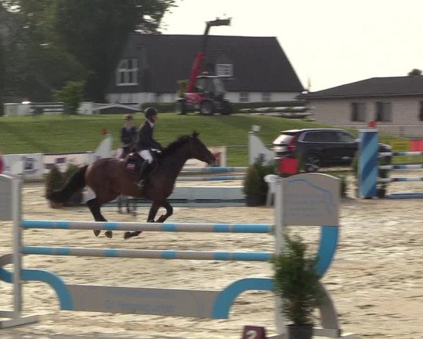 Reitturnier Hamm-Rhynern 2018