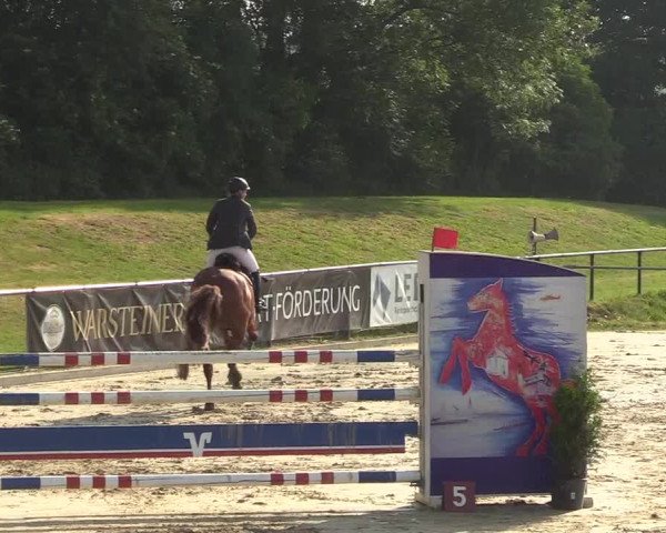Reitturnier Hamm-Rhynern 2018