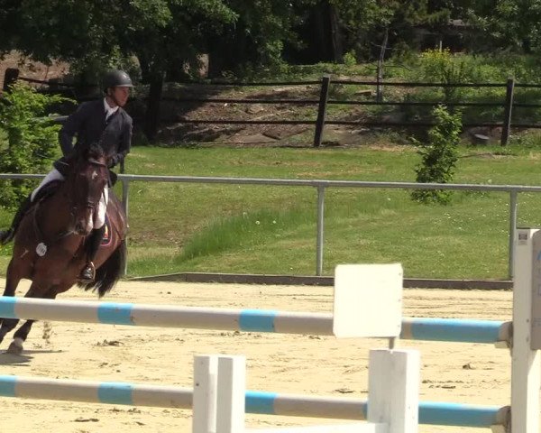 Reitturnier Hamm-Rhynern 2018