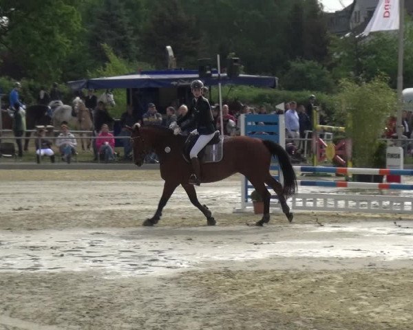 Reitturnier Ratingen-Lintorf 2018
