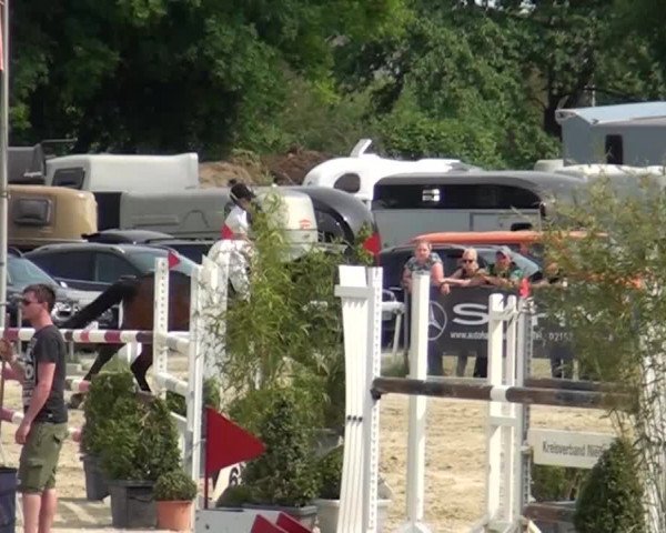 Reitturnier Ratingen-Lintorf 2018
