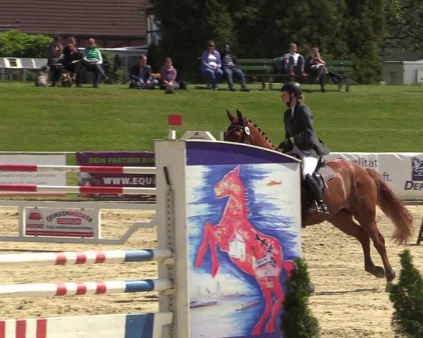 Reitturnier Hamm-Rhynern 2018