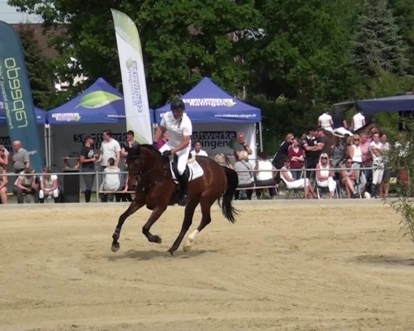 Reitturnier Ratingen-Lintorf 2018