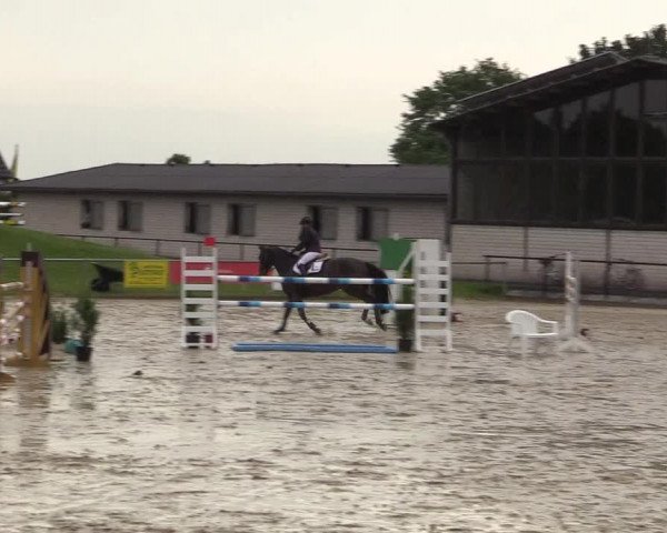 Reitturnier Hamm-Rhynern 2018