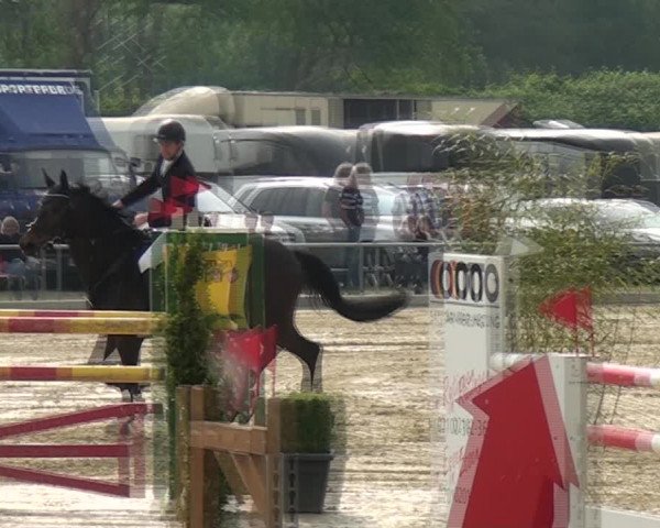 Reitturnier Ratingen-Lintorf 2018