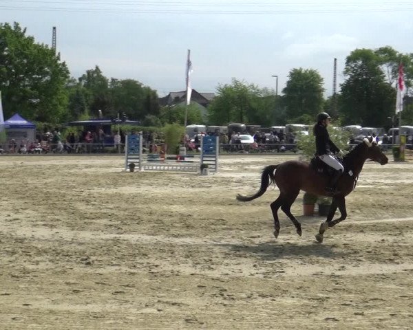 Reitturnier Ratingen-Lintorf 2018