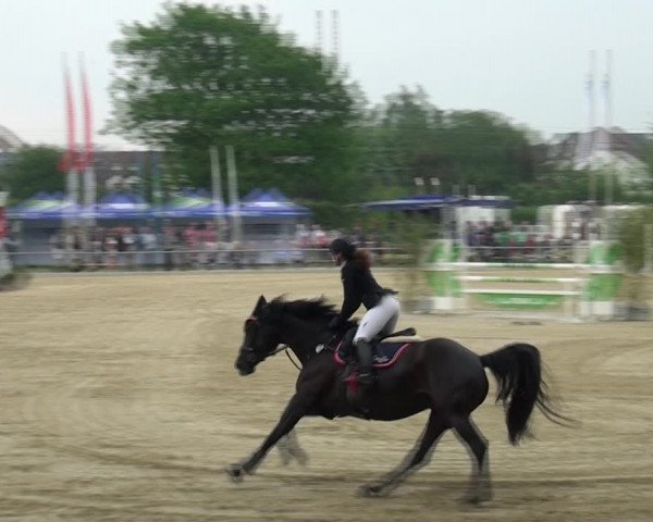 Reitturnier Ratingen-Lintorf 2018