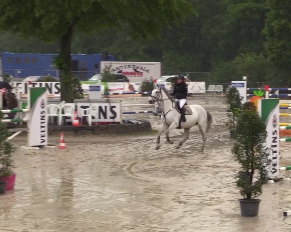 Reitturnier Hellefeld 2018