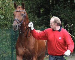 Dressurpferd Farfarello M (Westfale, 2010, von Fidertanz)