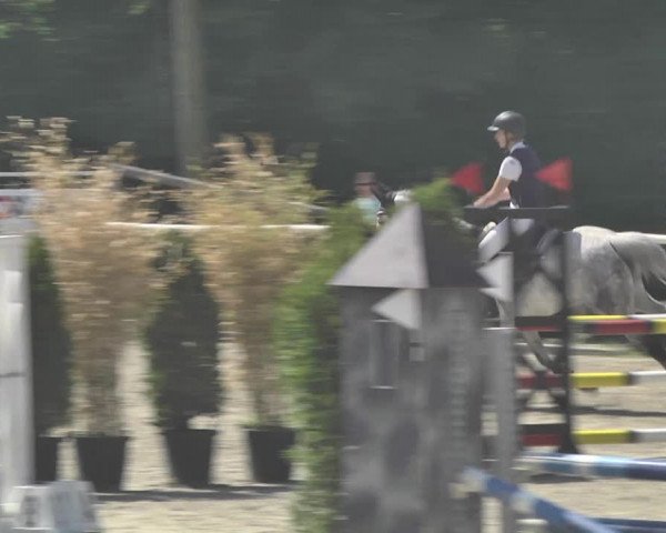 Reitturnier Winkel 2018