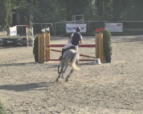 Reitturnier Winkel 2018