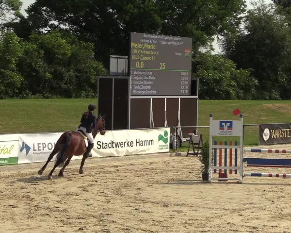 Reitturnier Hamm-Rhynern 2018