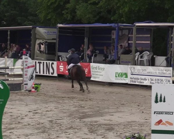 Reitturnier Hellefeld 2018
