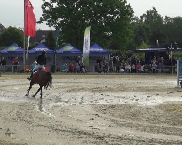Reitturnier Ratingen-Lintorf 2018