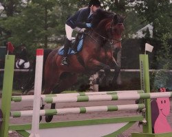 jumper Roxette 163 (Rhinelander, 2009, from Rapid Star)