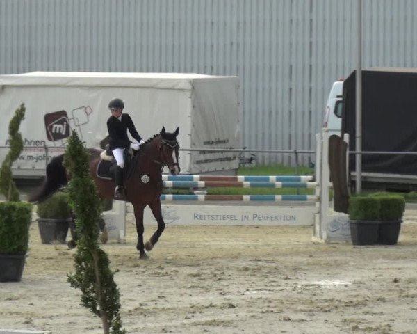 Reitturnier Ratingen-Lintorf 2018
