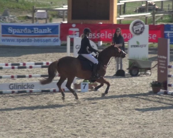 Reitturnier Fürstenwald 2018