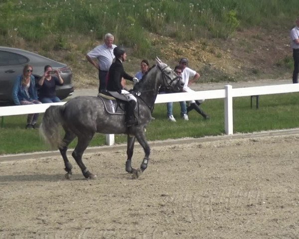 Reitturnier Fürstenwald 2018