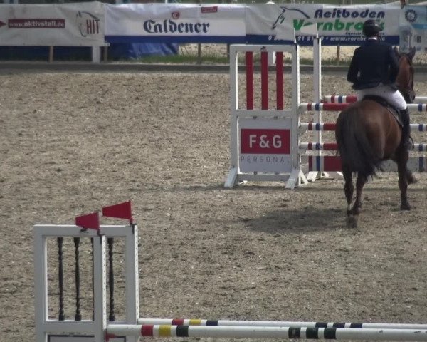 Reitturnier Fürstenwald 2018