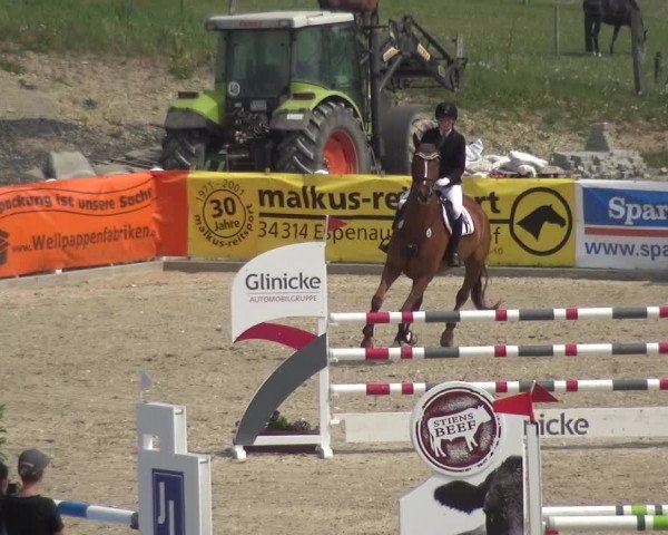 Reitturnier Fürstenwald 2018