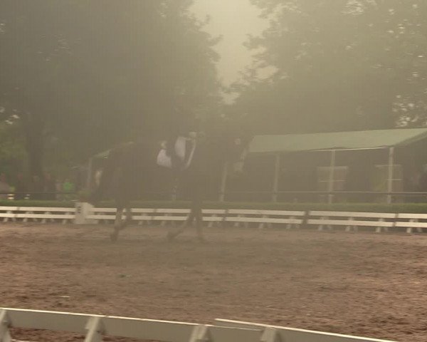 Reitturnier Hamm-Rhynern 2018