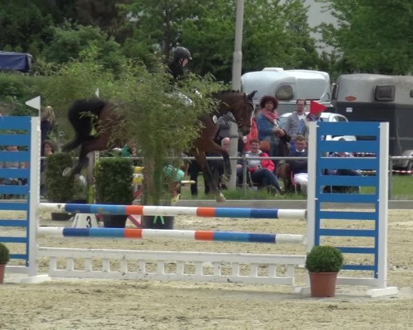 Reitturnier Ratingen-Lintorf 2018